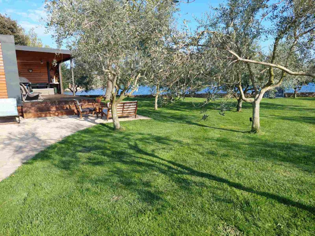 Beach House Ive With Jacuzzi, Pool, Playground And Bbq In An Olive Grove With A Beach, Pomer - Istria ภายนอก รูปภาพ